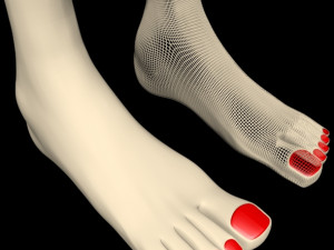 female feet 01 Model 3D