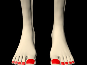 female feet 01 Model 3D