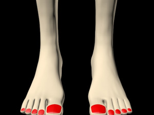female feet 01 Model 3D