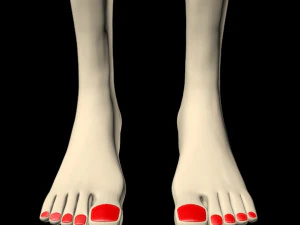 Female feet 01 3D Model