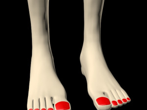 female feet 01 Model 3D