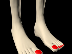 female feet 01 Model 3D
