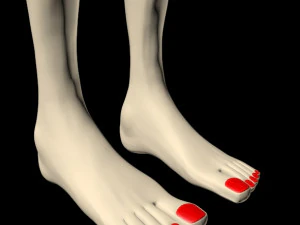 Female feet 01 3D Model