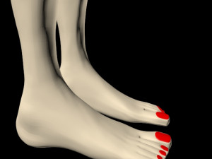 female feet 01 Model 3D