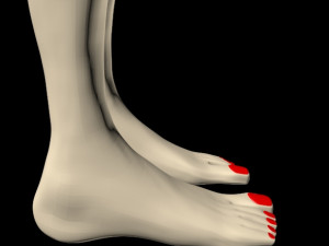 female feet 01 Model 3D