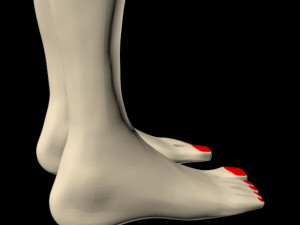female feet 01 Model 3D