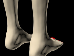 female feet 01 Model 3D