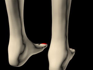 female feet 01 Model 3D