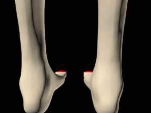 female feet 01 Model 3D