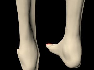 female feet 01 Model 3D