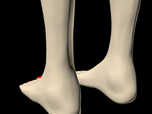 female feet 01 Model 3D