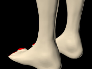 female feet 01 Model 3D