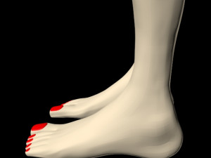 female feet 01 Model 3D