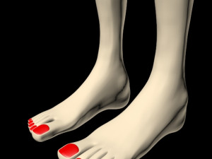 female feet 01 Model 3D