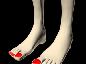 female feet 01 Model 3D