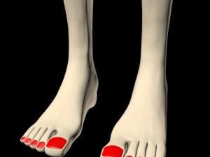 female feet 01 Model 3D