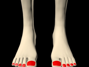 female feet 01 Model 3D
