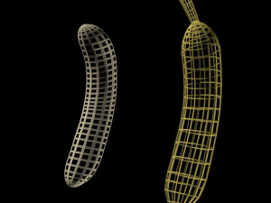 bananas 01 3D Model