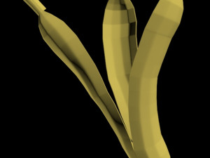 bananas 01 3D Model