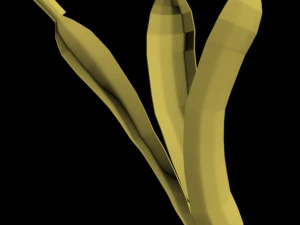 pisang 01 Model 3D