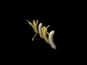 pisang 01 Model 3D