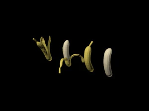 pisang 01 Model 3D