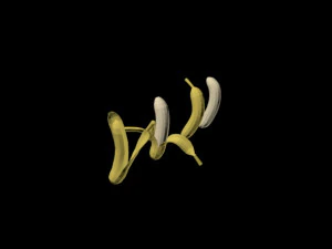 pisang 01 Model 3D