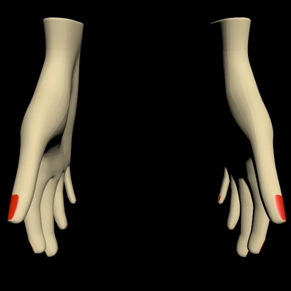 Female hands 01 3D Model .c4d .max .obj .3ds .fbx .stl .blend 