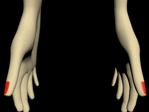 manos femeninas 01 Modelo 3D