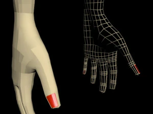 Female hands 01 3D Model