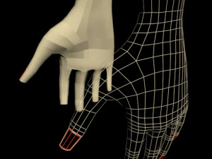 Female hands 01 3D Model