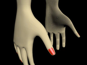 Female hands 01 3D Model