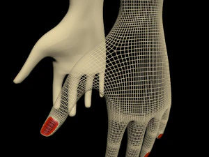 Female hands 01 3D Model
