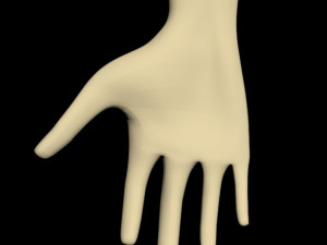 female hands 01 3D मॉडल