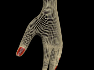 female hands 01 3D मॉडल