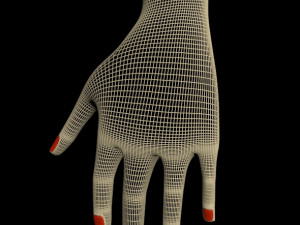 female hands 01 3D मॉडल