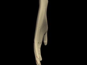 female hands 01 3D मॉडल