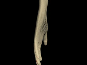 Female hands 01 3D Model