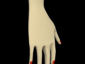 female hands 01 3D मॉडल