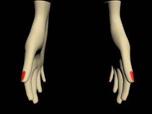 Female hands 01 3D Model