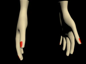 Female hands 01 3D Model