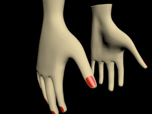 female hands 01 3D मॉडल