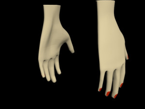 female hands 01 3D मॉडल