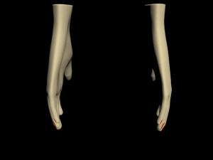 female hands 01 3D मॉडल