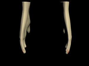 Female hands 01 3D Model