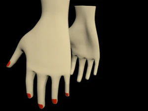 Female hands 01 3D Model