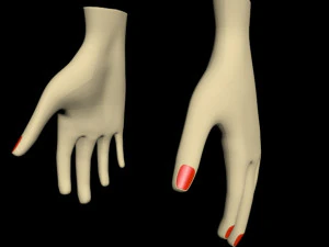 Female hands 01 3D Model