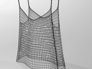 Sleeveless top 01 Modello 3D