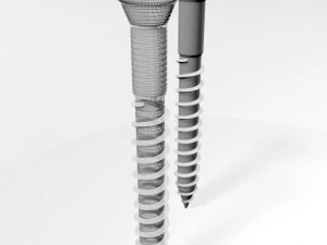 Drywall screw 02 3D Model