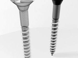 drywall screw 02 Model 3D